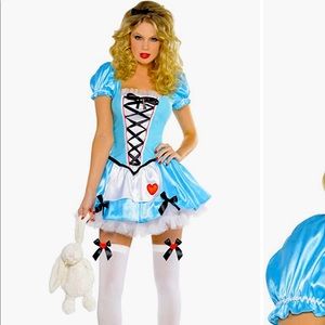 Alice in Wonderland Costume